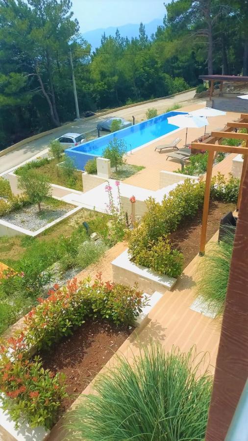 Cozy Apartments With Pool And Splendid Seaview Kavač Exteriér fotografie